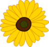Cartoon Sunflower Clip Art